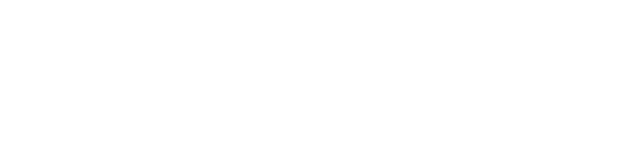 NET5