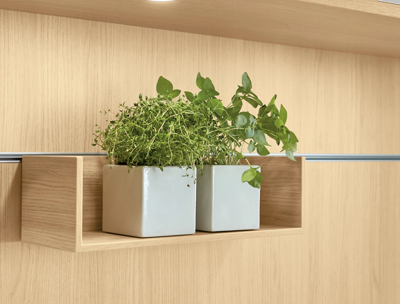 Planten